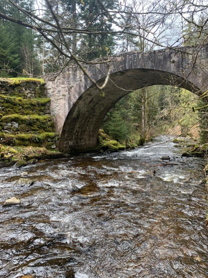 Charmant Appartement A Gérardmer Eksteriør bilde