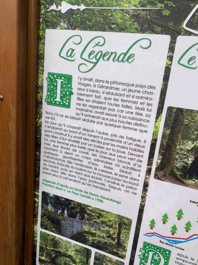 Charmant Appartement A Gérardmer Eksteriør bilde